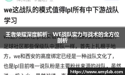 王者荣耀深度解析：WE战队实力与战术的全方位剖析
